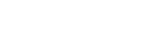 Panorama Logo Secondary White RGB